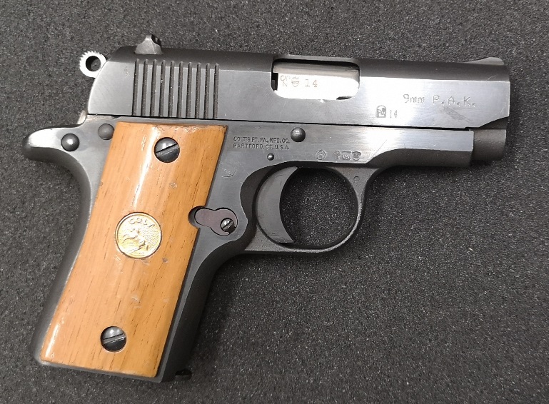 colt_pony.jpg