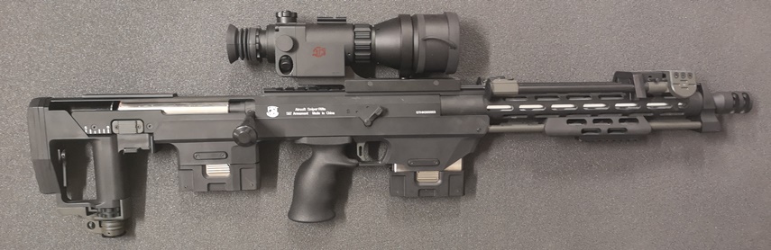 dsr_1.jpg