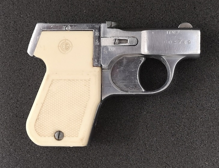 eig_.22lr_.jpg