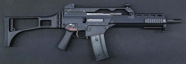 g36.jpg